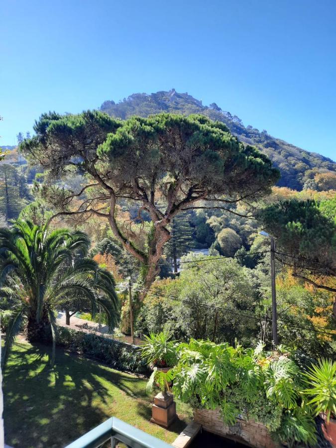 Luxurious Royal Estate In Historic Sintra Paradise Exteriör bild
