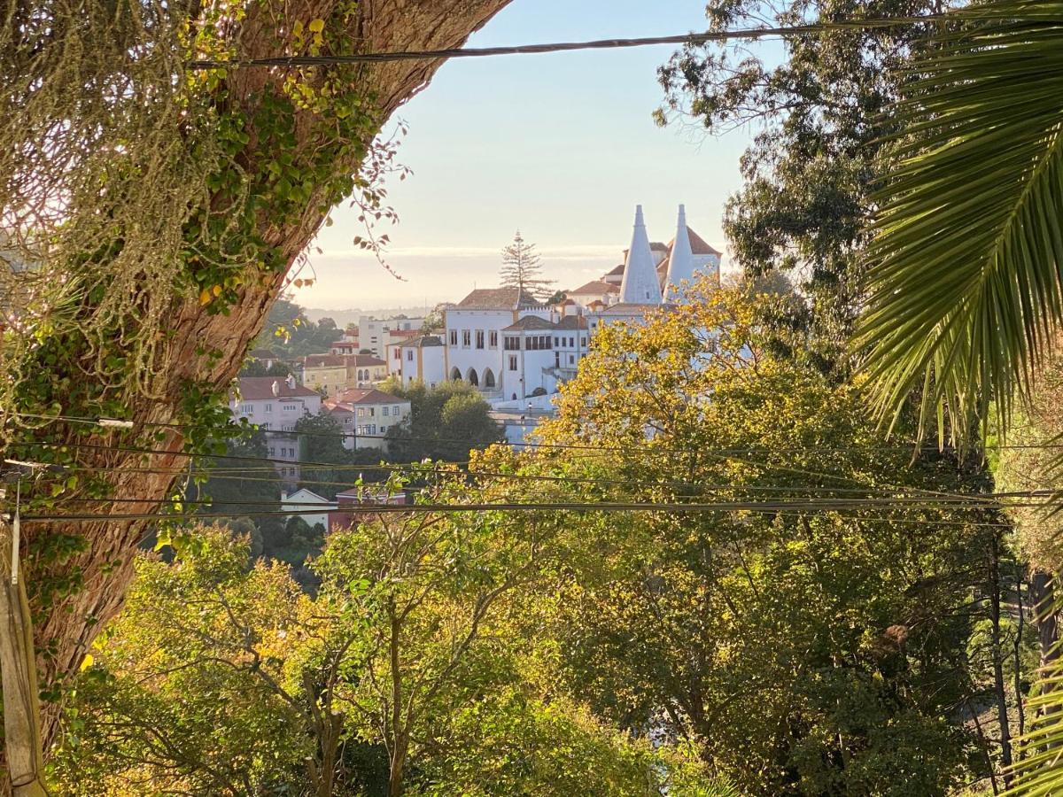 Luxurious Royal Estate In Historic Sintra Paradise Exteriör bild