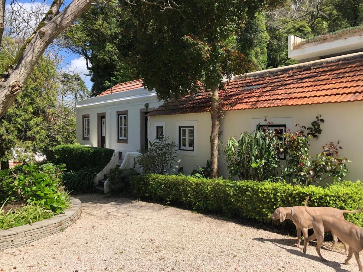 Luxurious Royal Estate In Historic Sintra Paradise Exteriör bild
