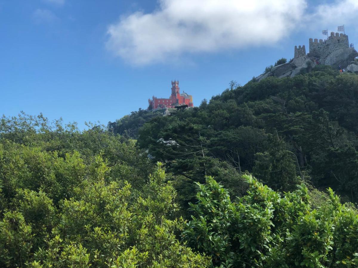 Luxurious Royal Estate In Historic Sintra Paradise Exteriör bild