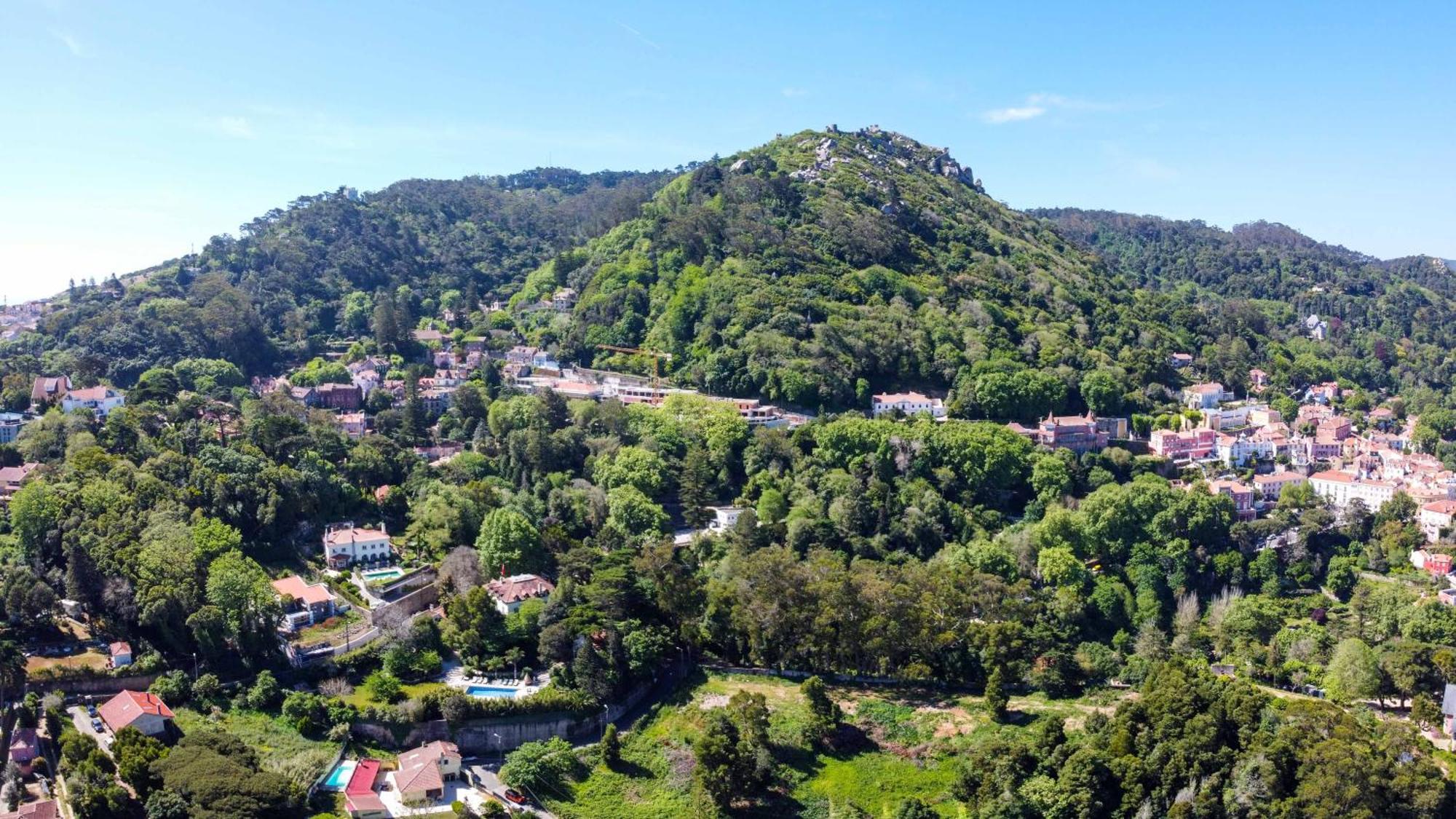 Luxurious Royal Estate In Historic Sintra Paradise Exteriör bild