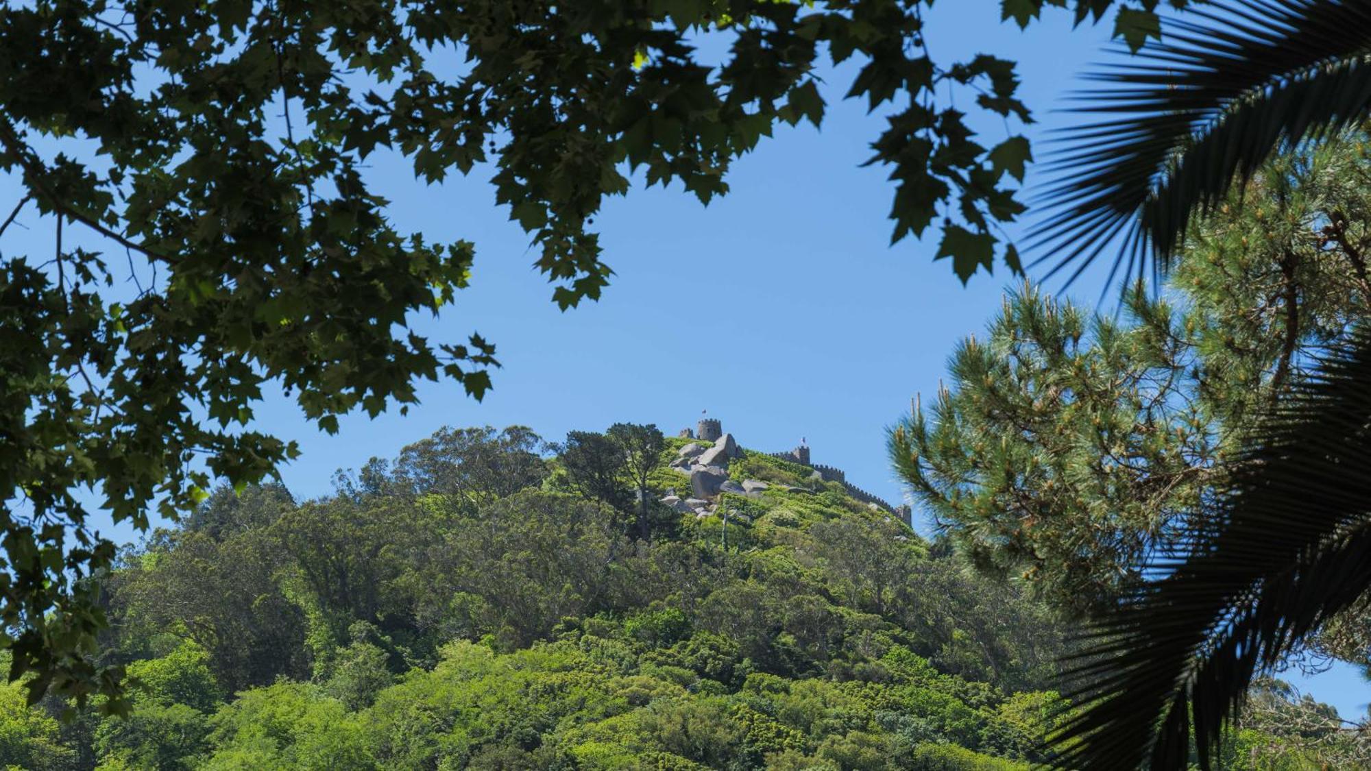 Luxurious Royal Estate In Historic Sintra Paradise Exteriör bild